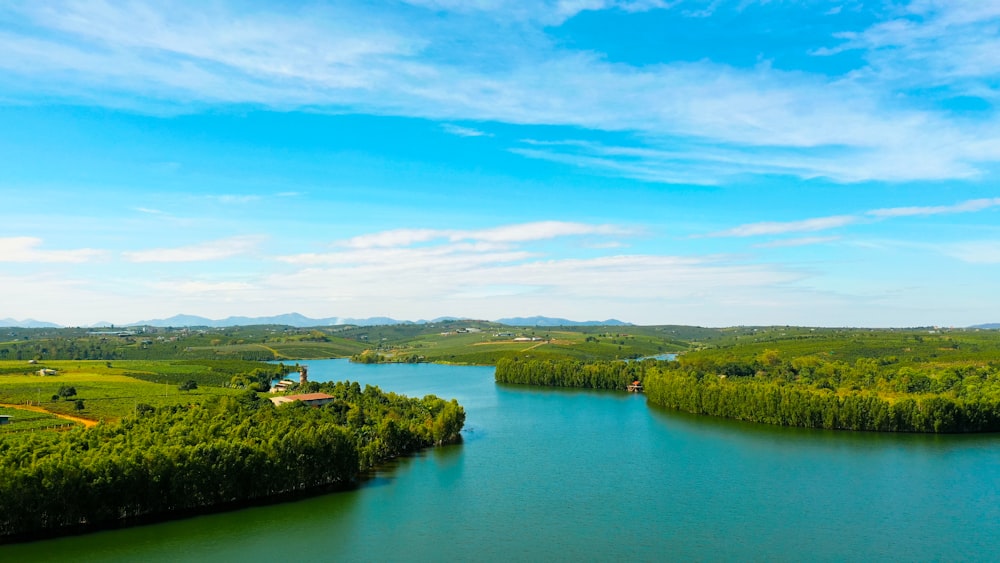 green trees near body of water under blue sky during daytime