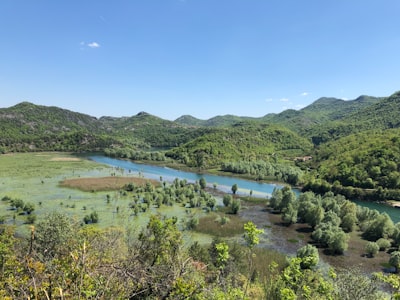 green trees near body of water during daytime montenegro google meet background