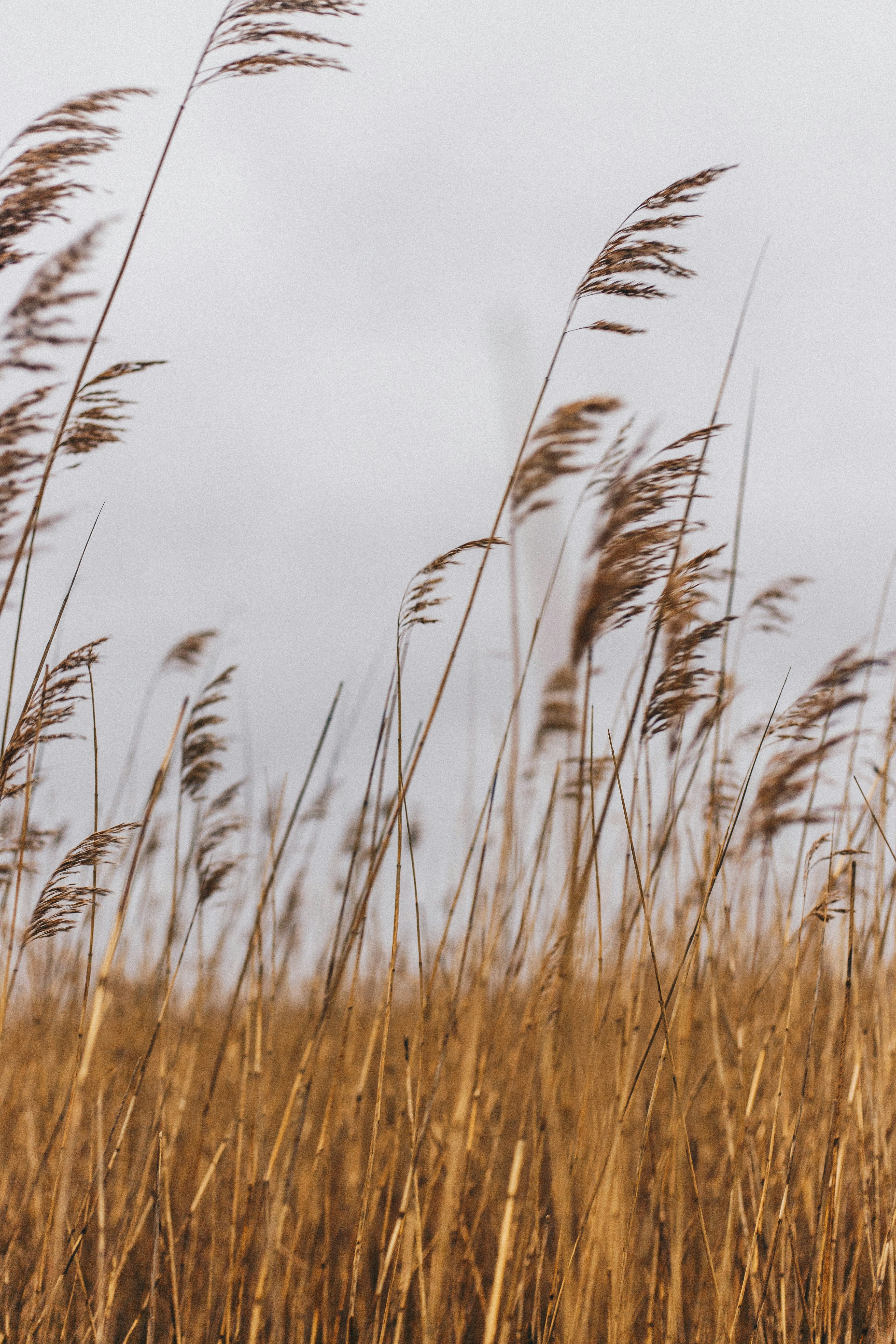 Photo by turutututuu