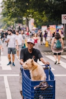An older man is pushing a shopping cart containing a small dog through a busy outdoor street market. The scene is bustling with people walking around, some engaging with street vendors. The man is wearing a cap and a dark shirt, and the dog is sitting comfortably, looking to the side. Trees and vendor stalls line the street, creating a lively atmosphere.