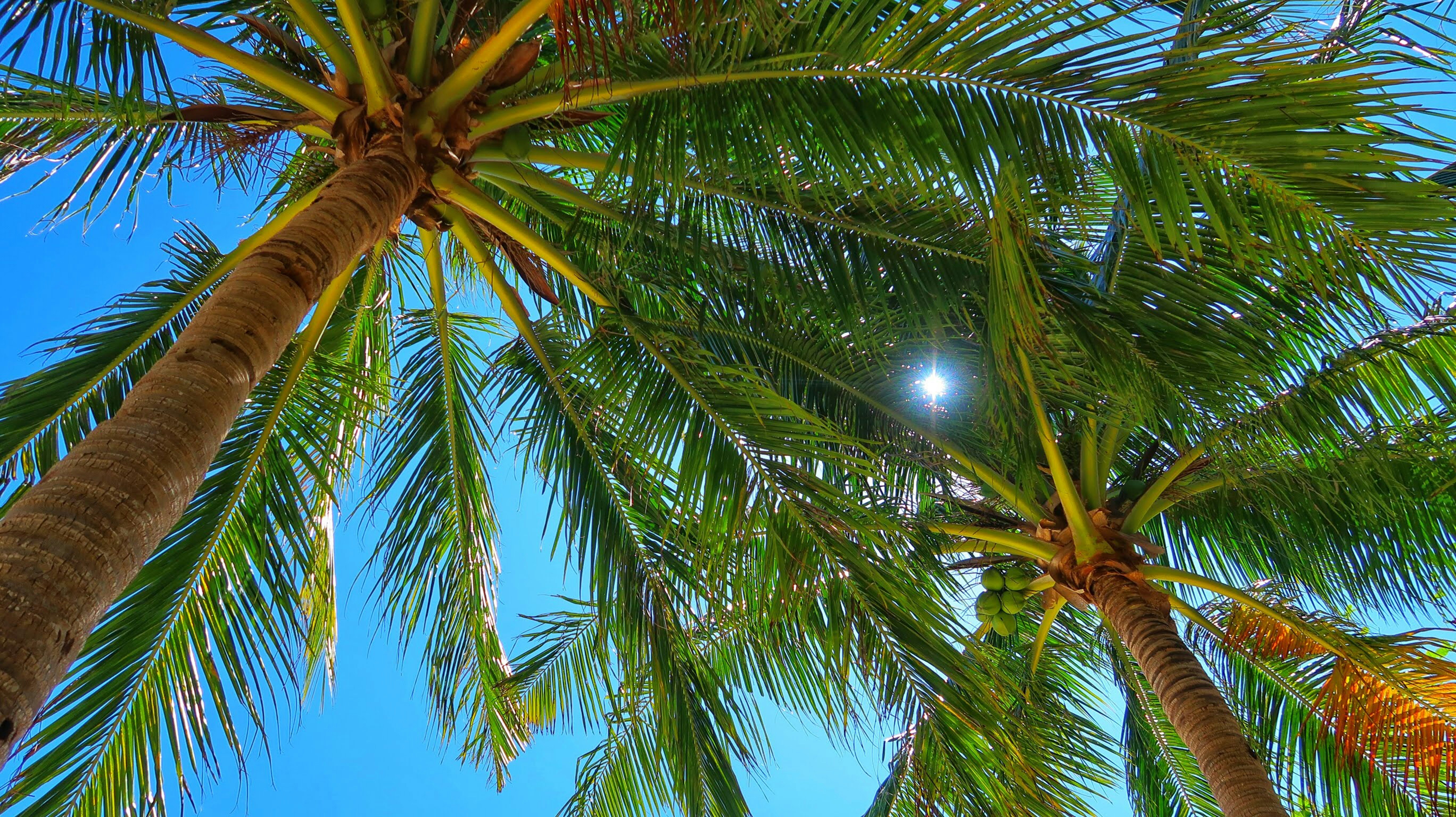 Photo by namu_photograph