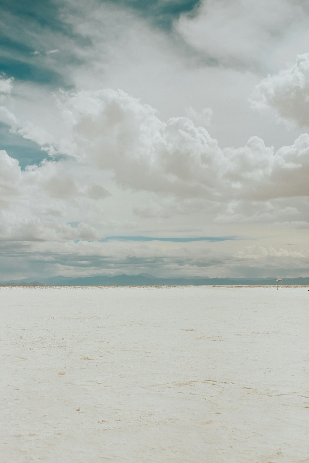 people on beach during daytime