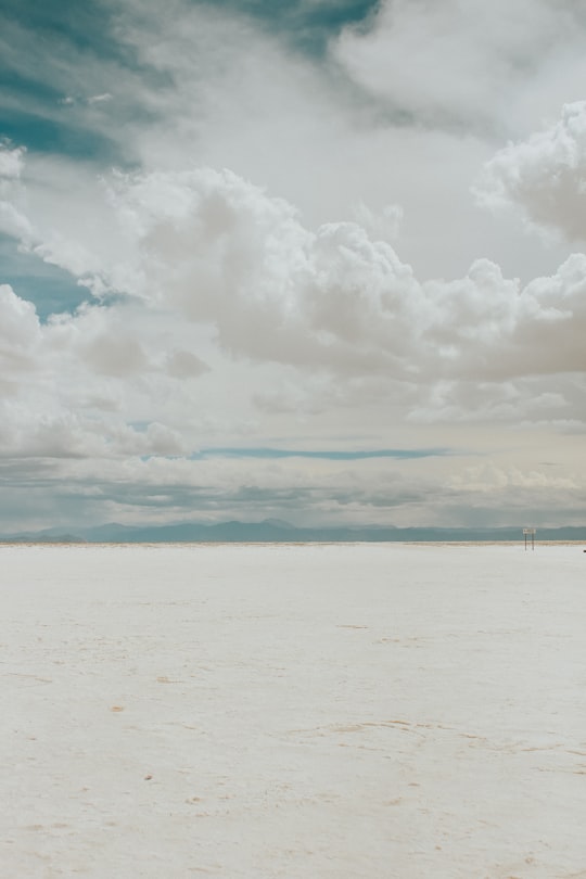 people on beach during daytime in Salinas Grandes Argentina