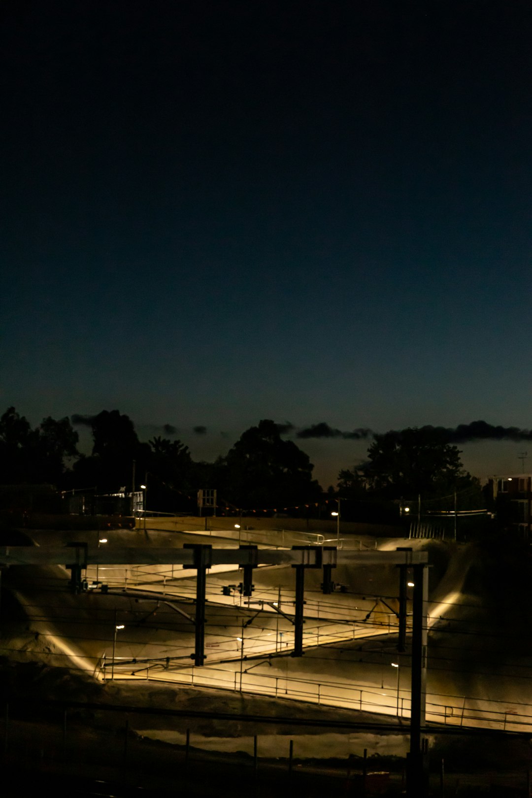 silhouette of trees during night time