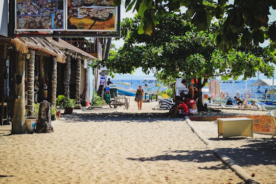 people sitting on beach chairs under green tree during daytime in Malapascua Island Philippines