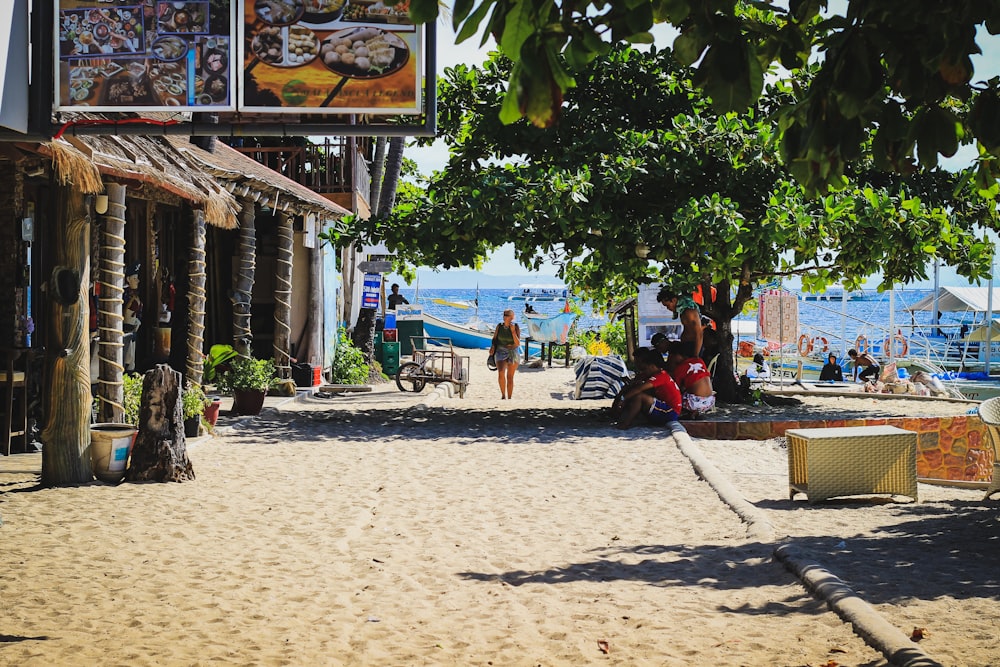 people sitting on beach chairs under green tree during daytime