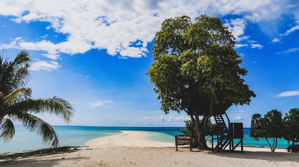 brown wooden bench on beach during daytime