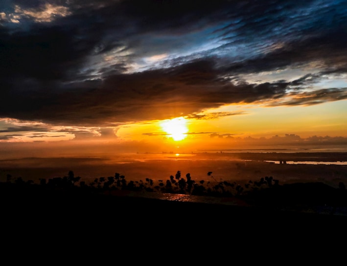 silhouette of trees during sunset