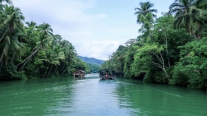 A tranquil river flanked by dense tropical vegetation, featuring tall palm trees on both sides. A small rustic boat is gliding down the river, reflecting the lush greenery surrounding it. In the distance, a hint of mountains can be seen under a cloudy sky.