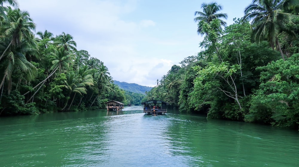 people riding on boat on river between trees during daytime