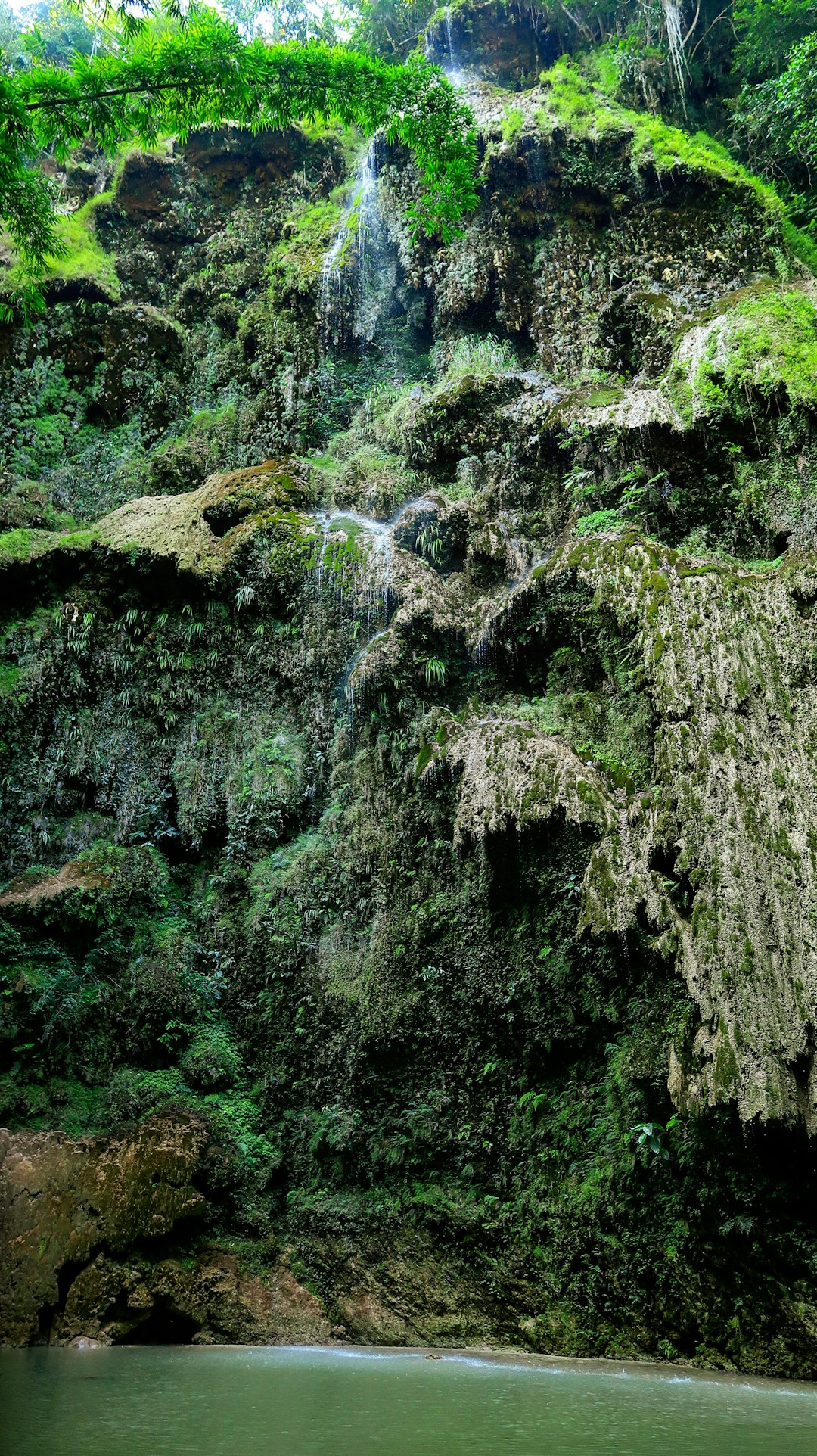 Jungle photo spot Tumalog Badian