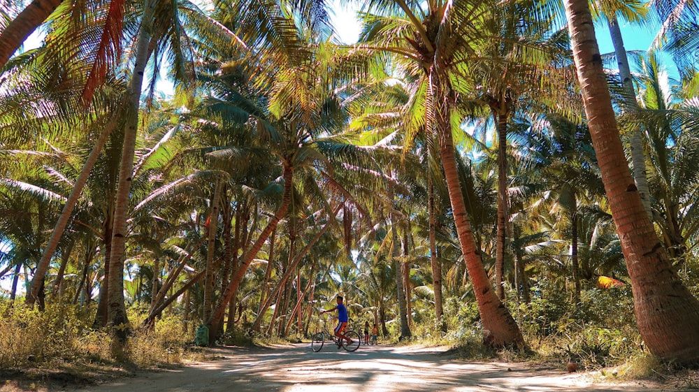 man in blue shirt and blue denim jeans walking on pathway between palm trees during daytime