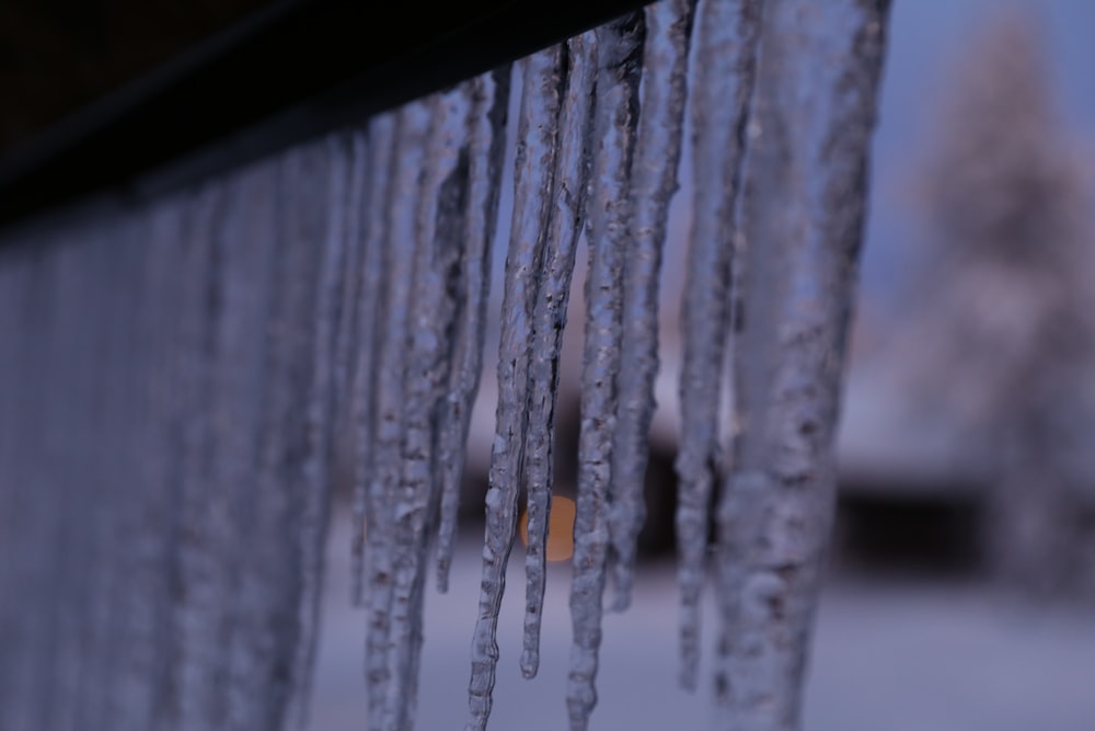 water droplets on brown wooden plank