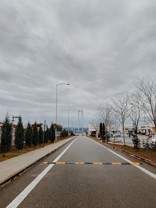 gray concrete road between bare trees under gray sky during daytime in Osman Gazi Köprüsü Turkey