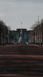 people walking on park during daytime