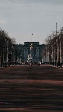 people walking on park during daytime