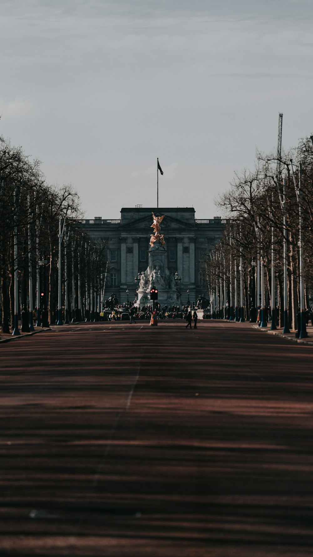 people walking on park during daytime