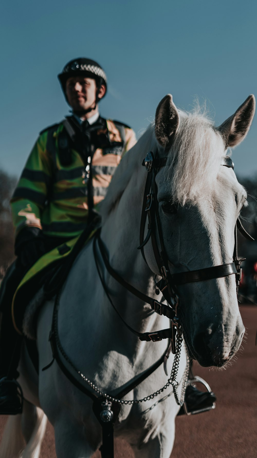 Mann in grün und schwarz gestreiftem Langarmhemd reitet tagsüber auf weißem Pferd