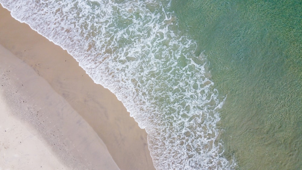 aerial view of beach during daytime