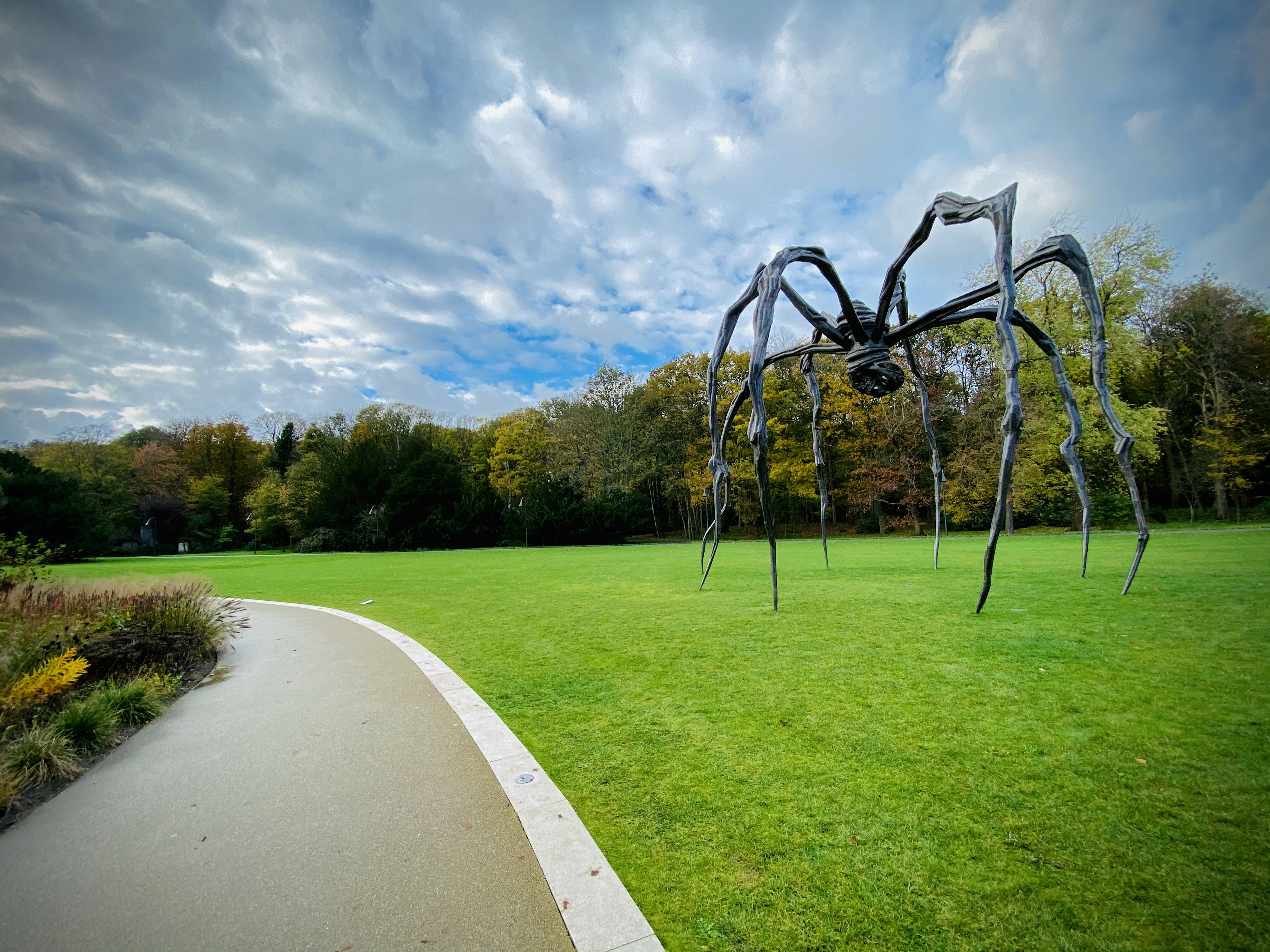 昼間は白い雲と青い空の下に木々が生い茂る緑の芝生