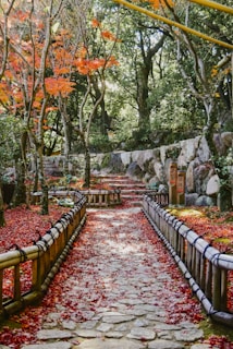 gray concrete pathway between orange and green trees