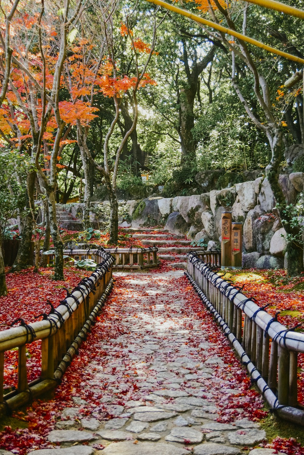 オレンジと緑の木々の間の灰色のコンクリートの小道