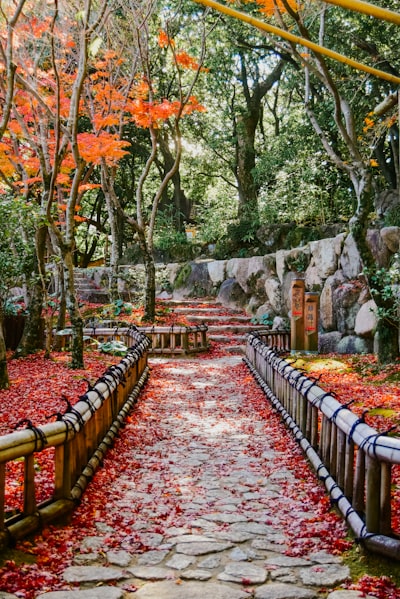 Sorakuen Garden - Japan