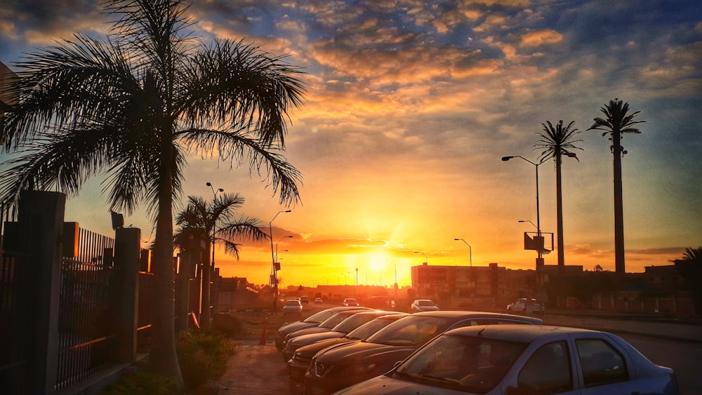 auto parcheggiate sul ciglio della strada durante il tramonto