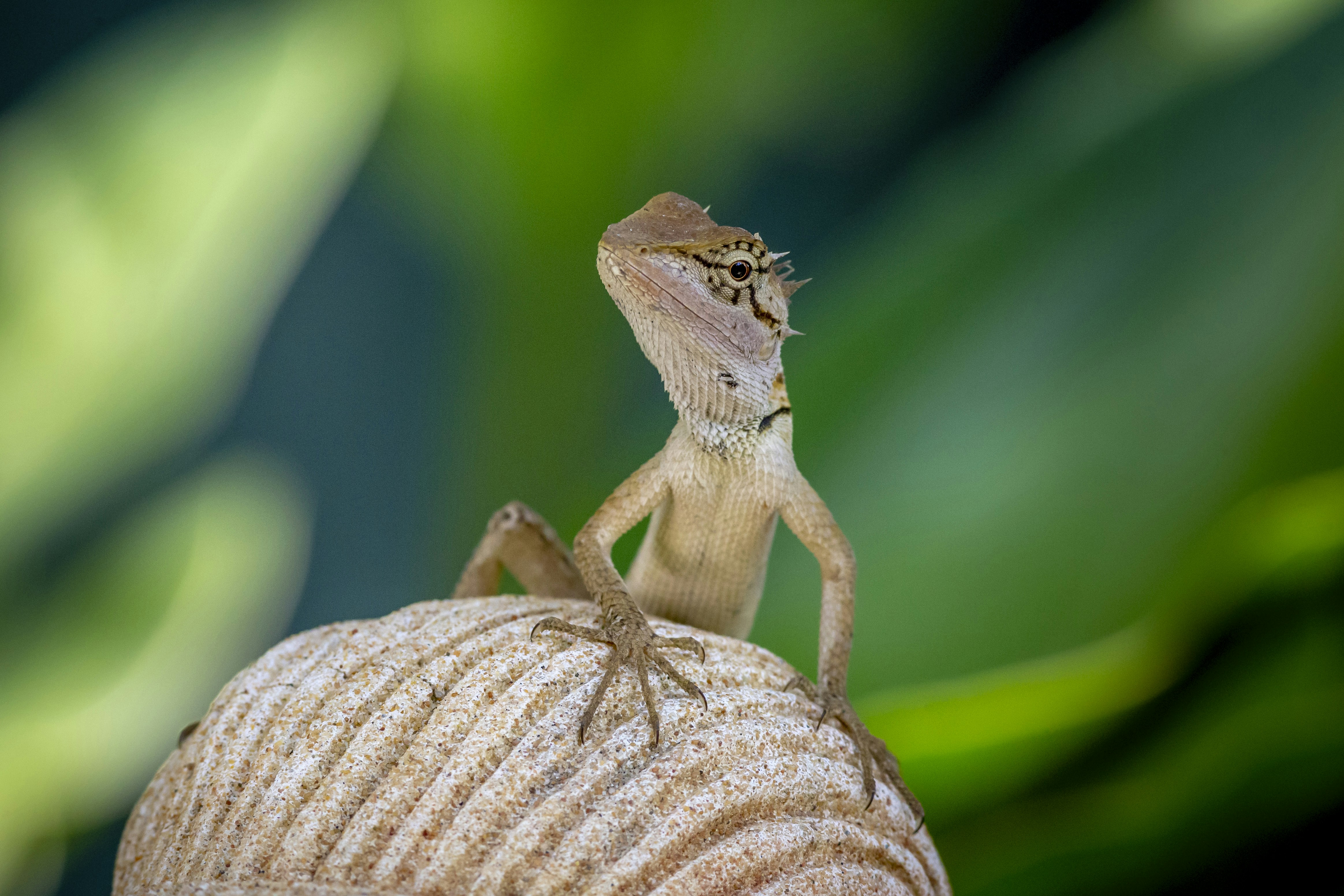 Photo by erik_karits