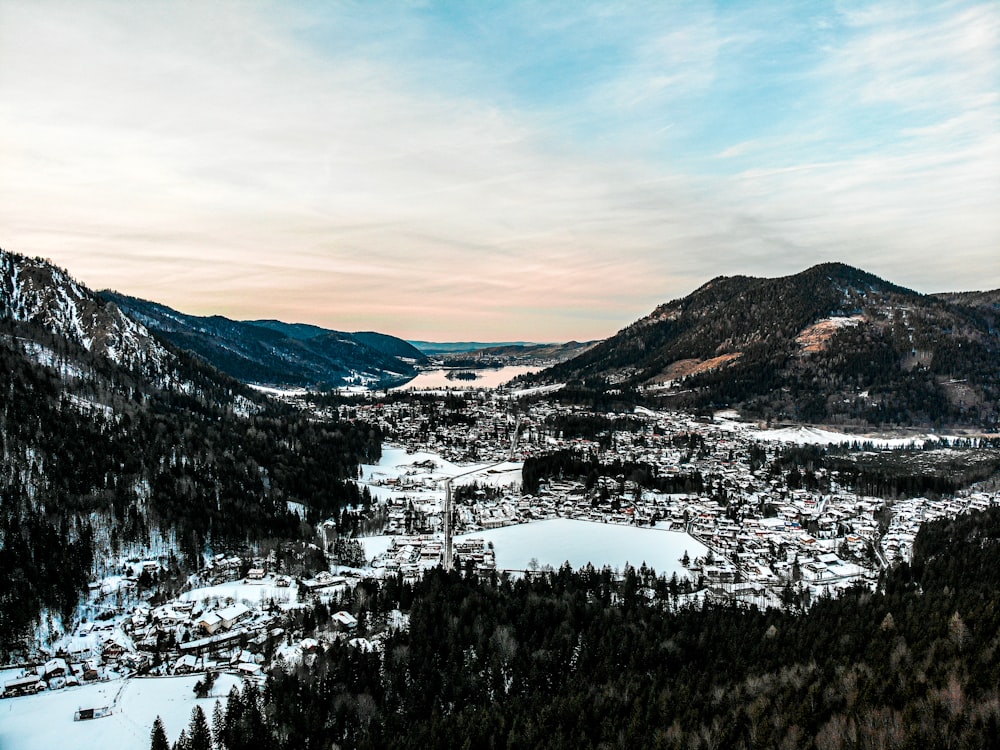 snow covered trees and mountains during daytime