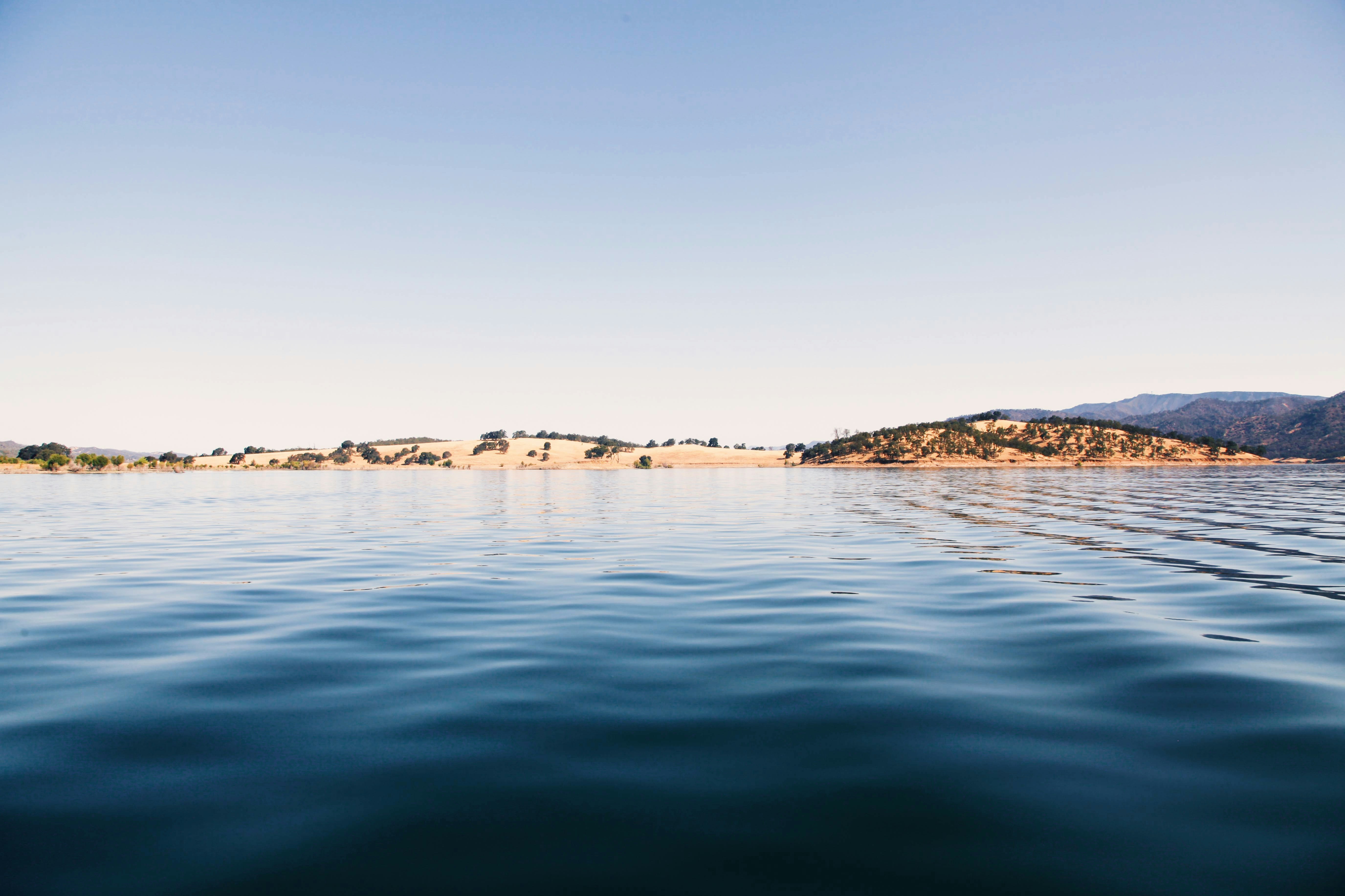 Photo by giorgiotrovato