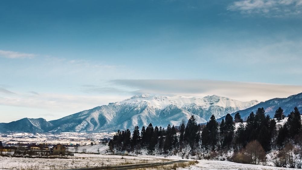 snow covered mountain during daytime