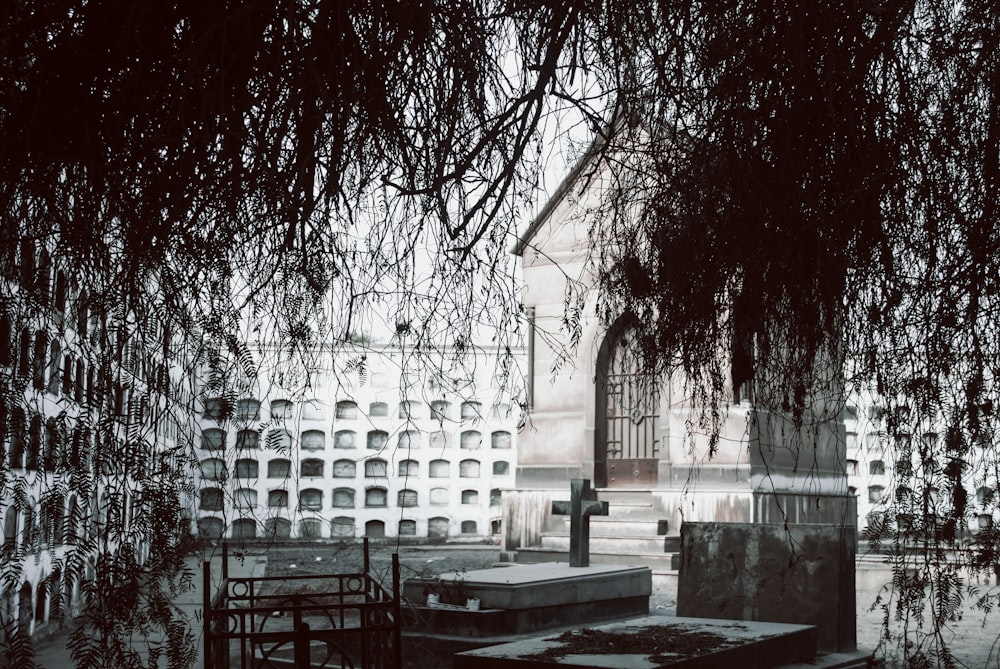 white concrete building near trees during daytime