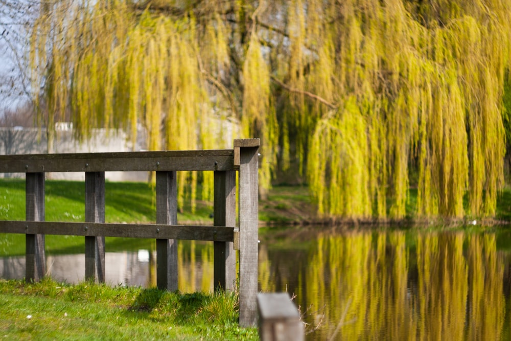 brown wooden bench on green grass near lake during daytime