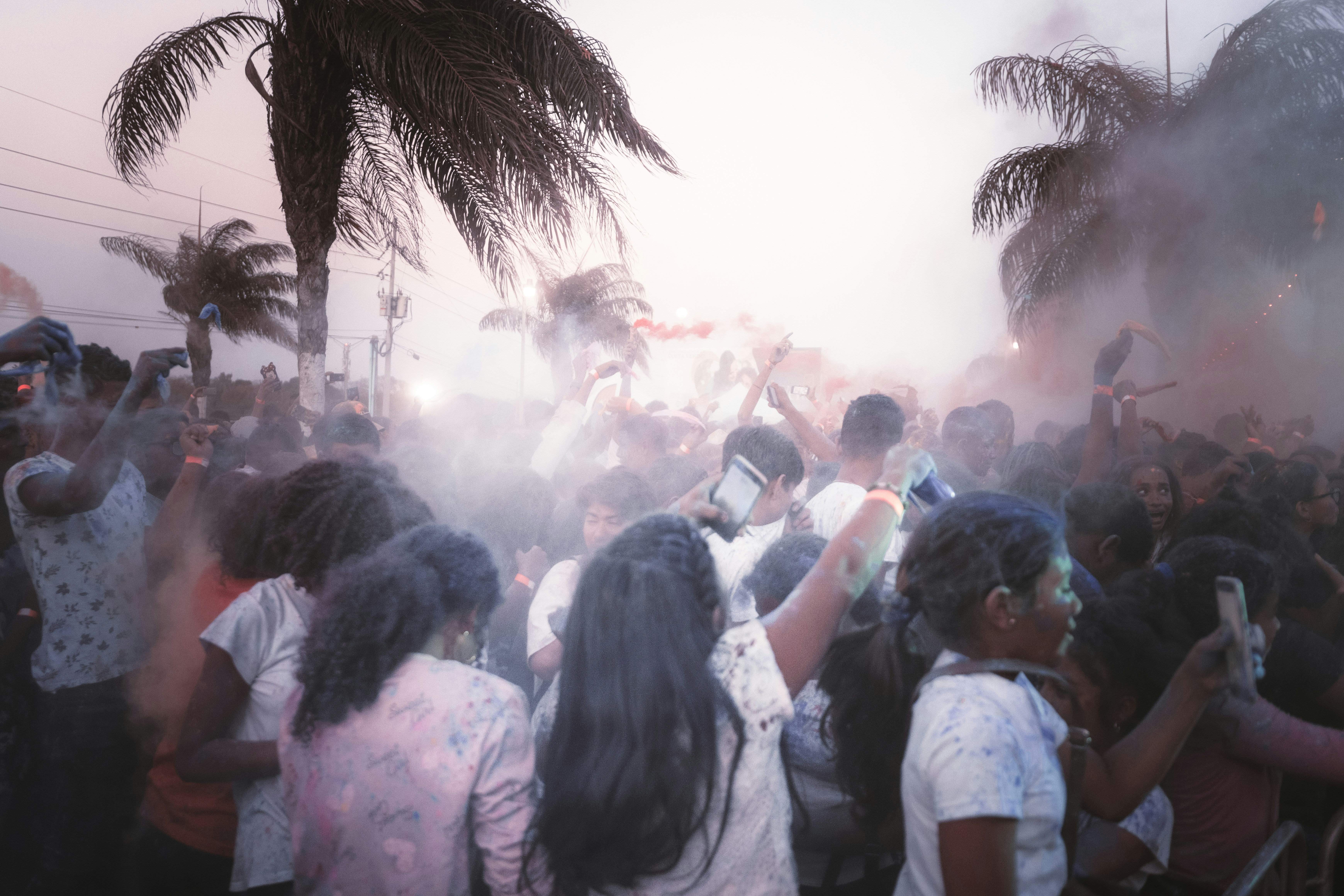 Image de Immersion mystique près de Montpellier : The Bubble Festival et sa jungle électronique