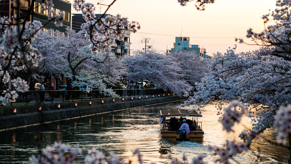 people riding on boat on river during daytime