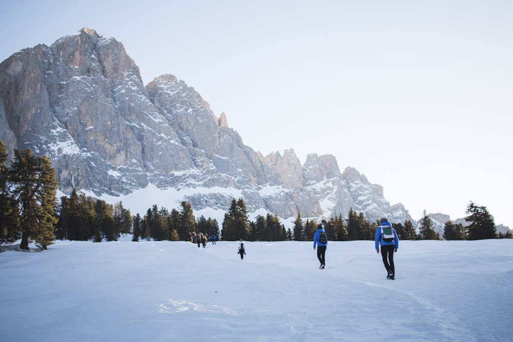 personas que caminan sobre el suelo cubierto de nieve cerca de árboles y montañas durante el día