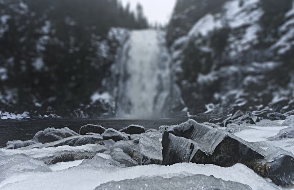 snow covered rocks and trees during daytime