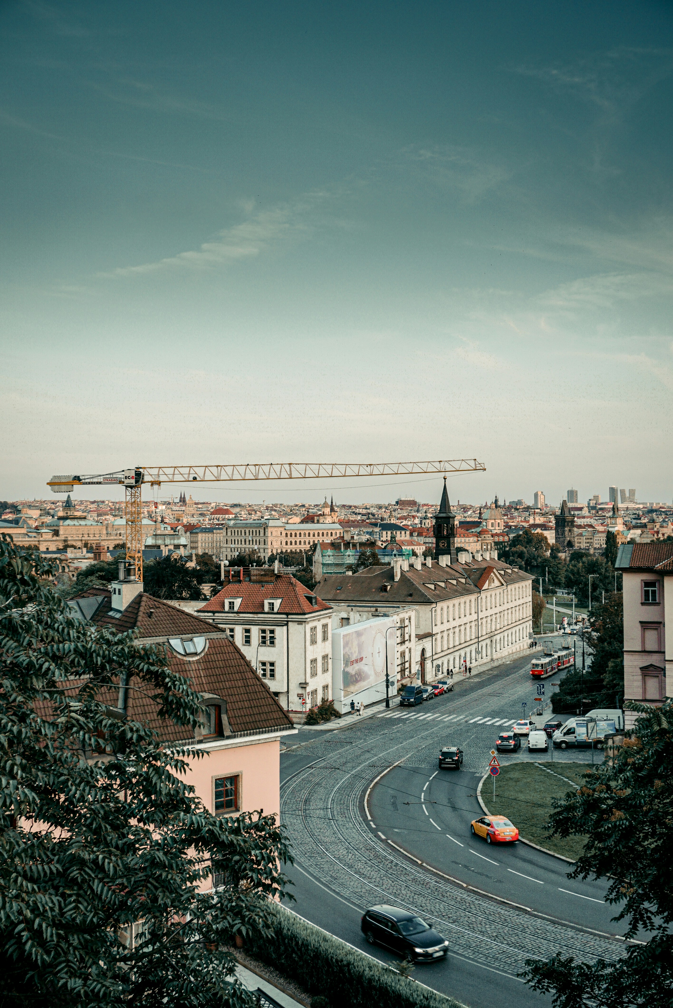 cars on road near houses during daytime