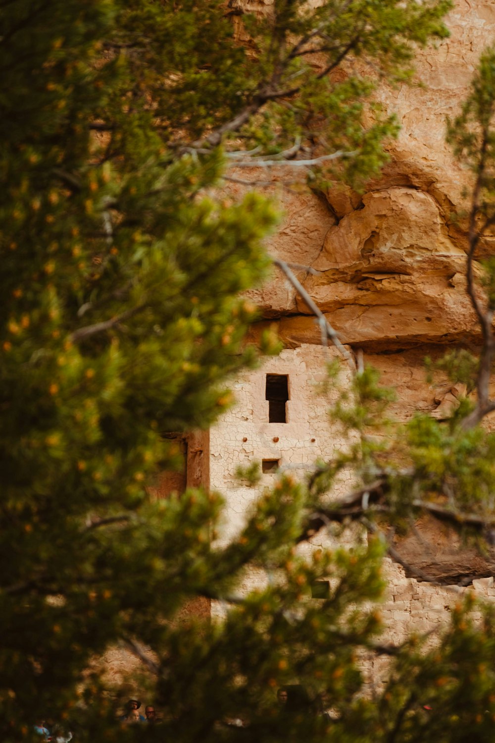 brown rock formation near green trees during daytime