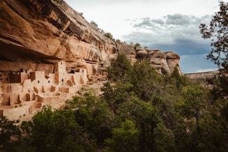green trees on brown rocky mountain during daytime