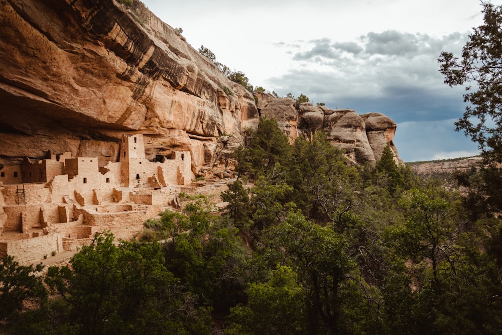 green trees on brown rocky mountain during daytime