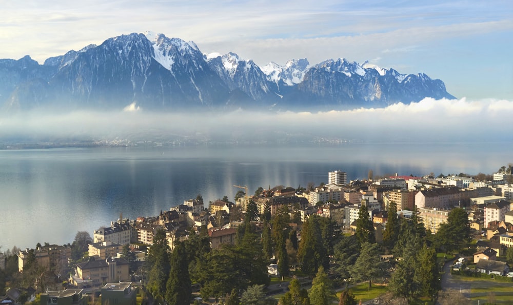 aerial view of city buildings near body of water during daytime