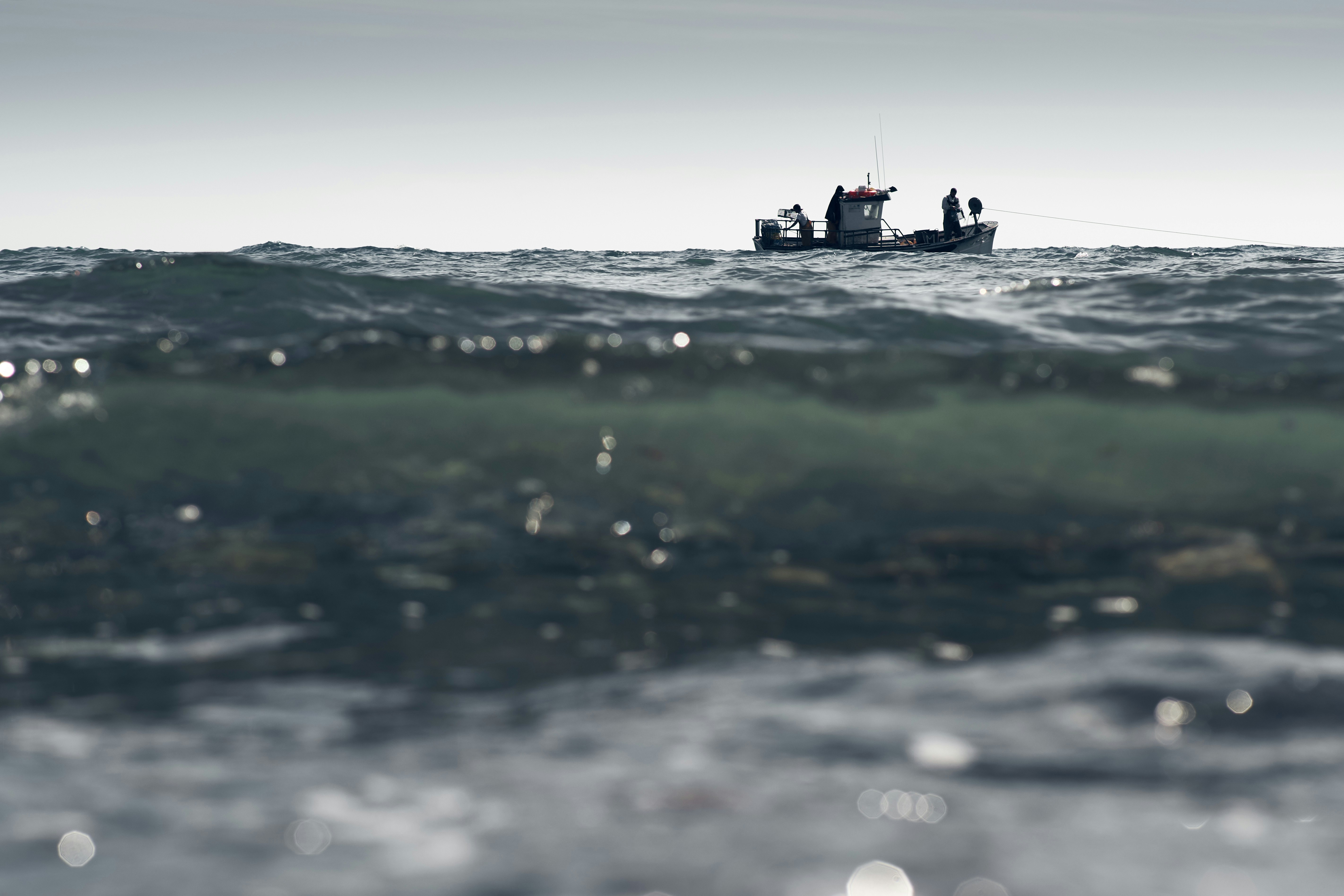 Photo by victor_vector