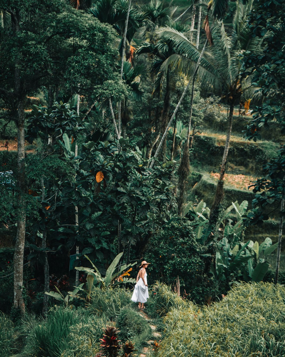 Jungle photo spot Tegallalang Pecatu