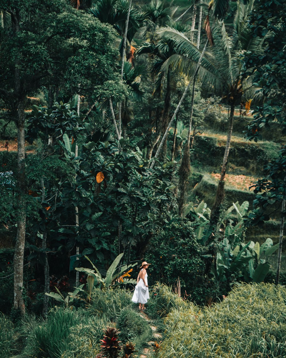 woman in white dress standing on forest during daytime