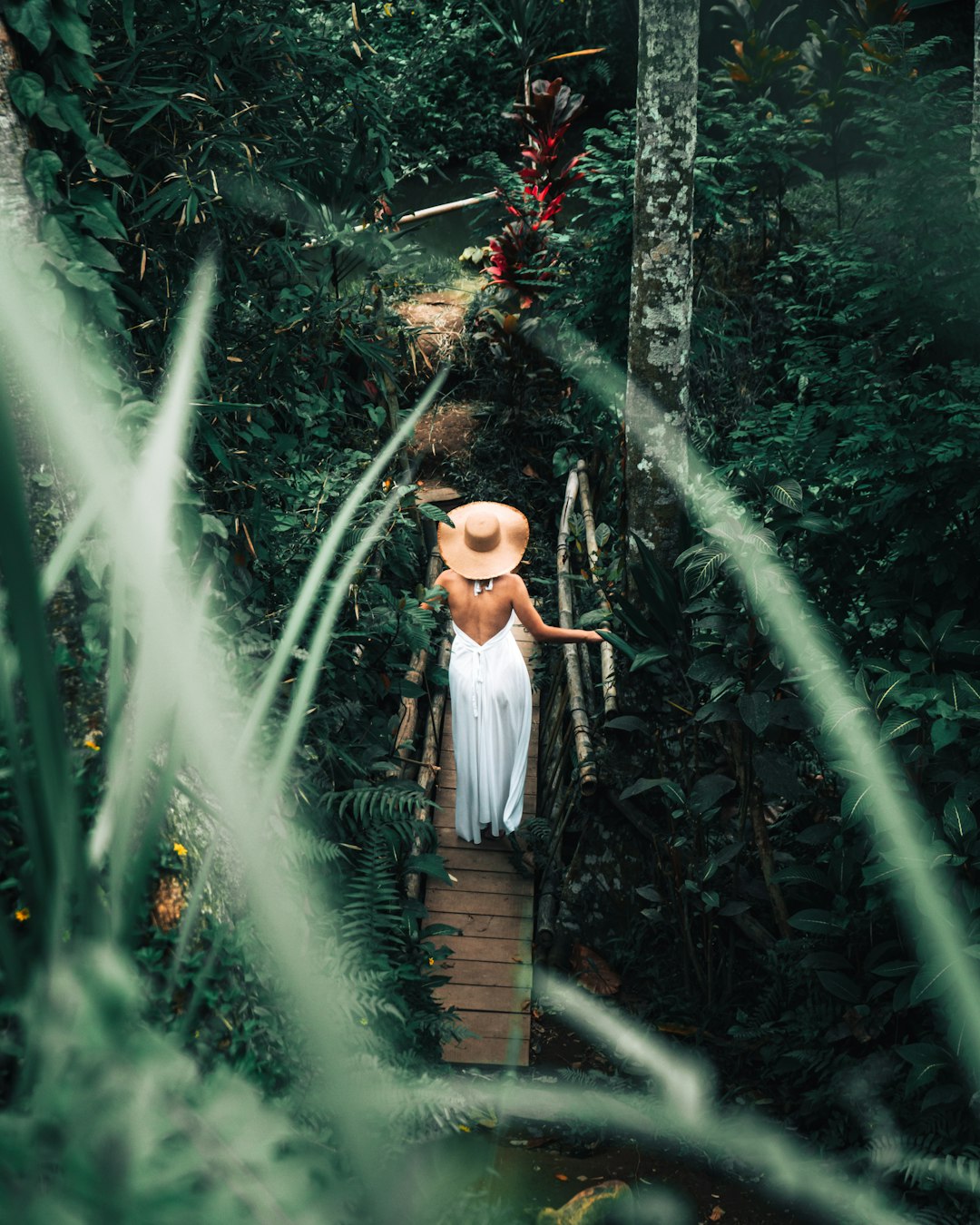 Forest photo spot Tegallalang Mount Batur