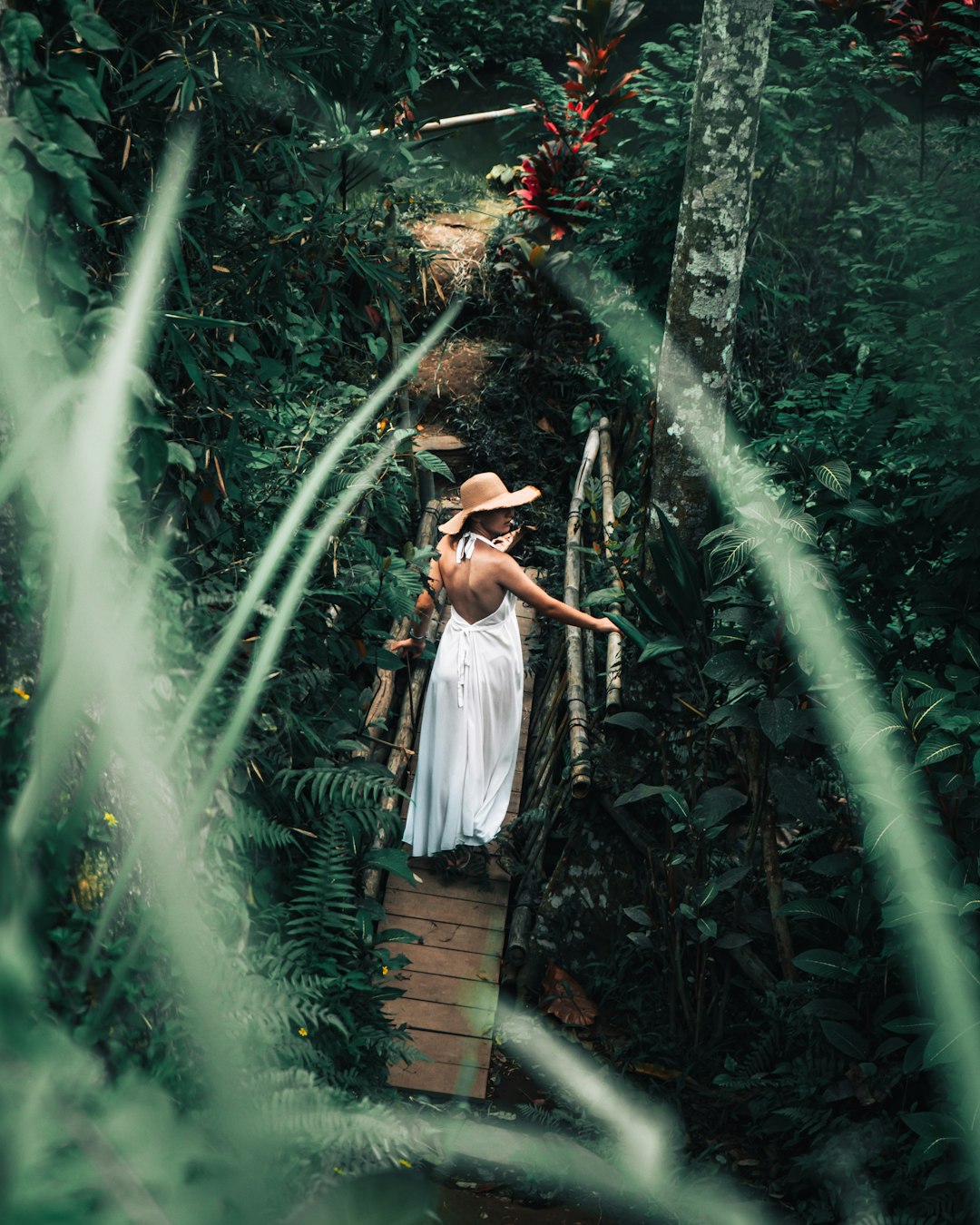 Jungle photo spot Tegallalang Badung