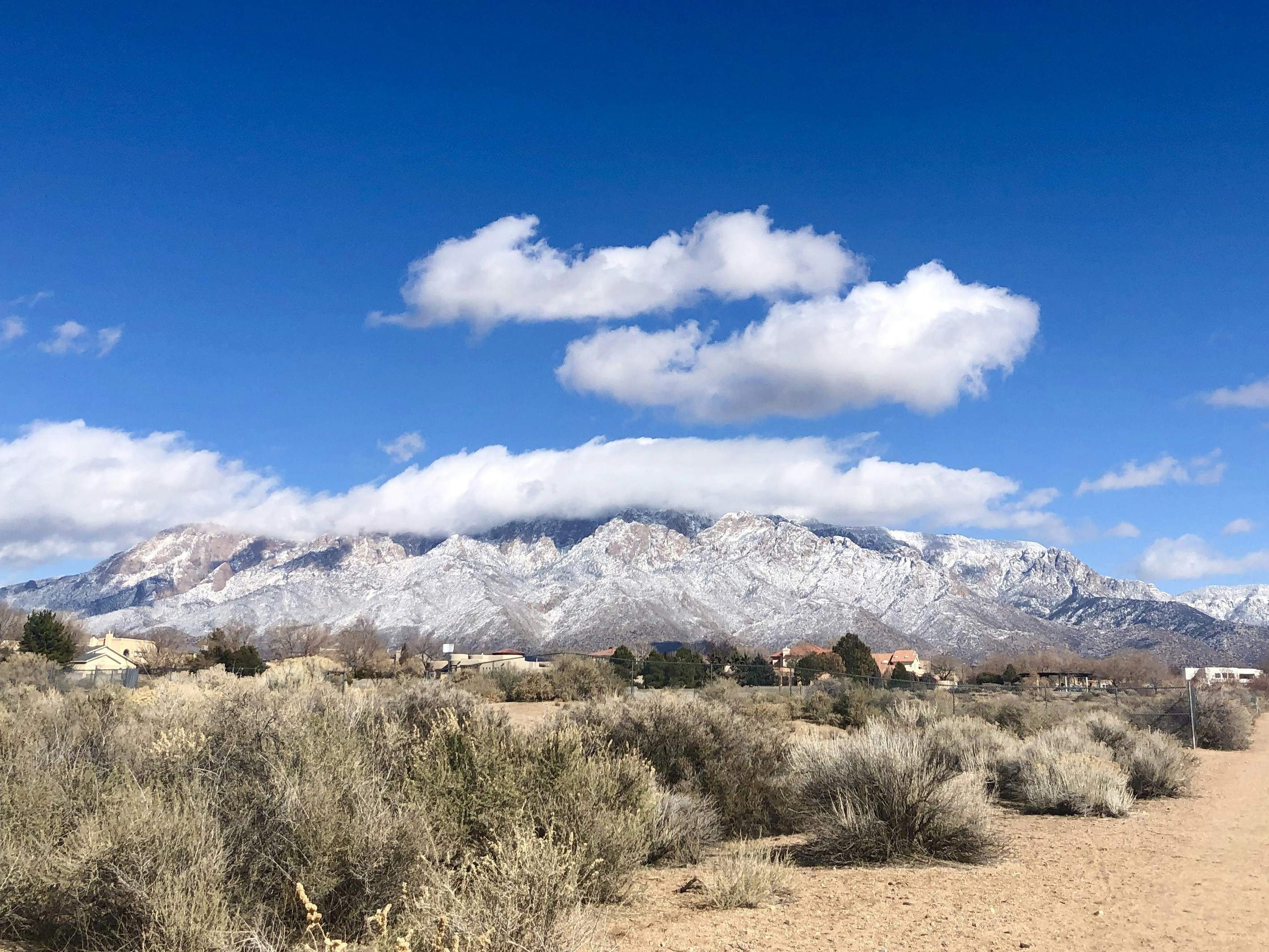 brown and white mountains under blue sky and white clouds during daytime