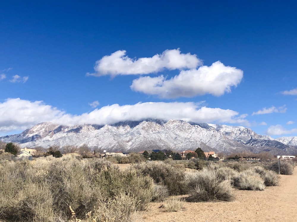 brown and white mountains under blue sky and white clouds during daytime